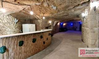 Commerce 2 Pièces 110 m² à vendre à Montlouis-sur-Loire (37270)