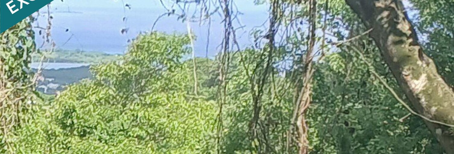 Terrain  1358 m² à vendre à Le Diamant (97223)