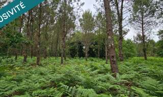 Terrain  5640 m² à vendre à Rion-des-Landes (40370)