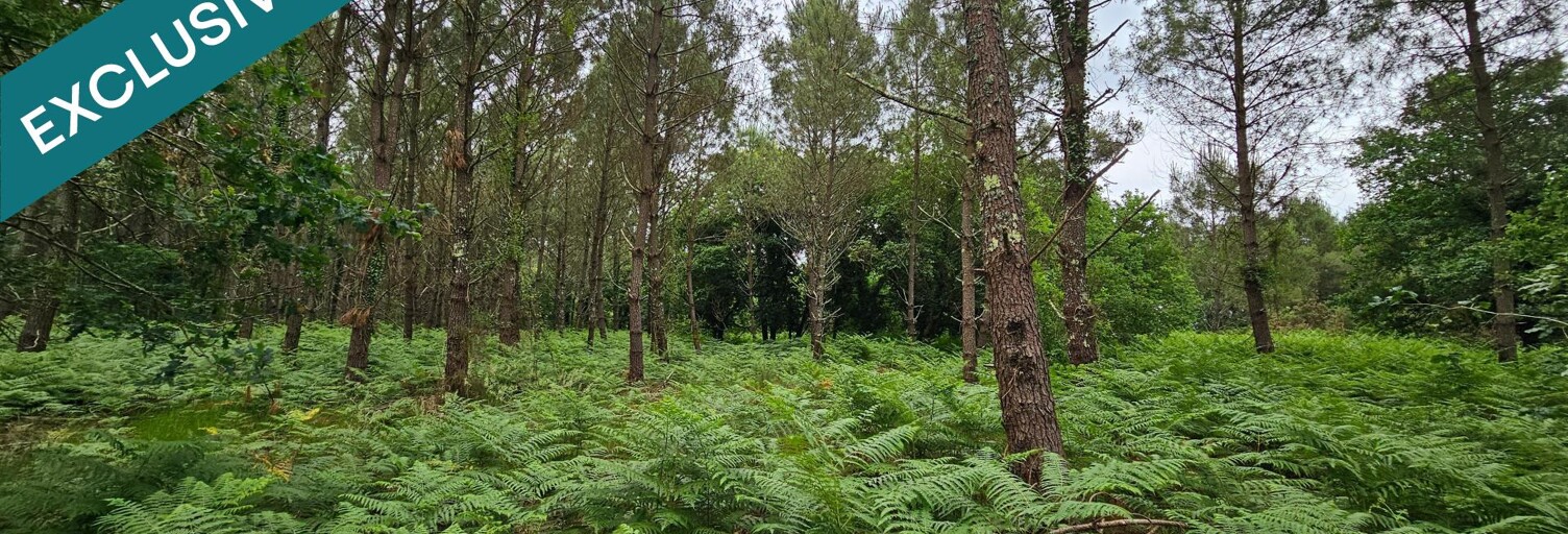 Terrain  5640 m² à vendre à Rion-des-Landes (40370)