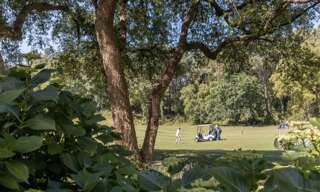 Appartement 3 Pièces 49 m² à vendre à Moliets-et-Maâ (40660)