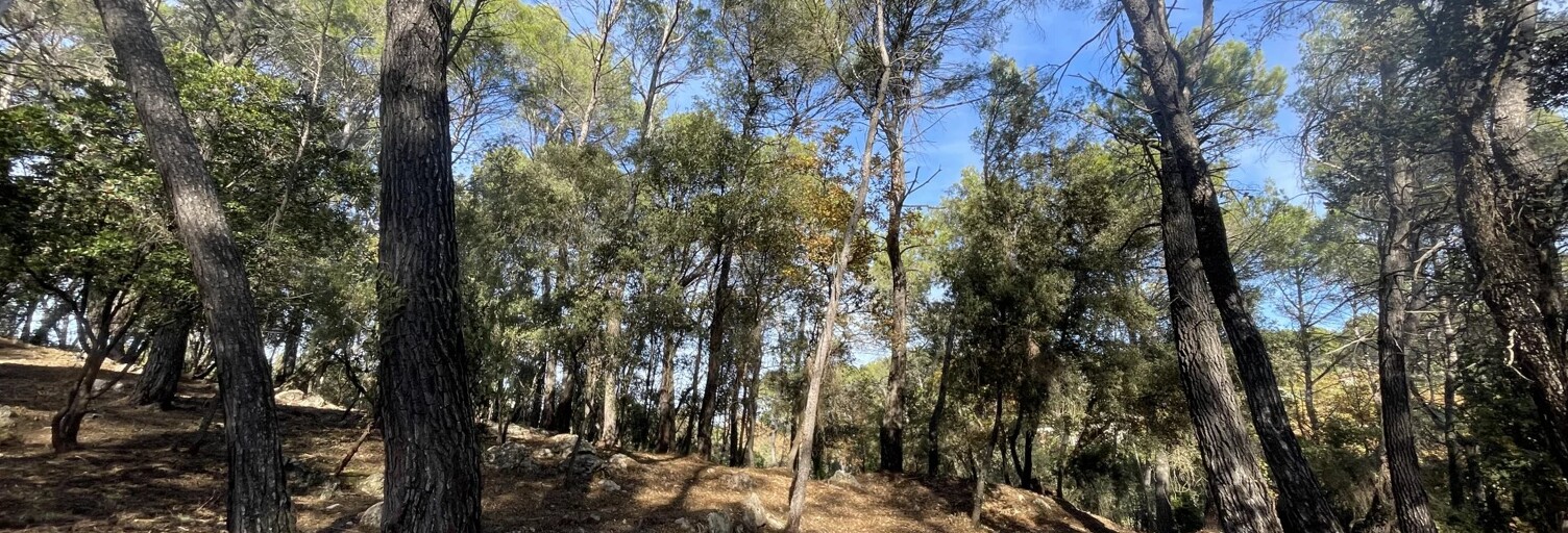 Terrain  2610 m² à vendre à Lorgues (83510)