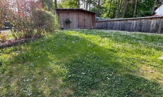 Photo N° 6