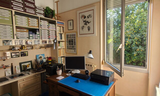 Photo N° 6