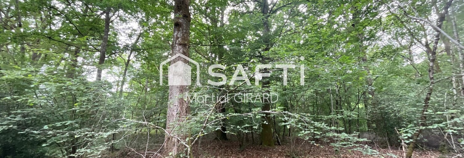 Terrain  14771 m² à vendre à Vouzeron (18330)