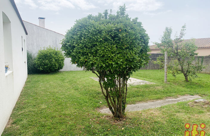 PLain pied 3 chambres — photo 2