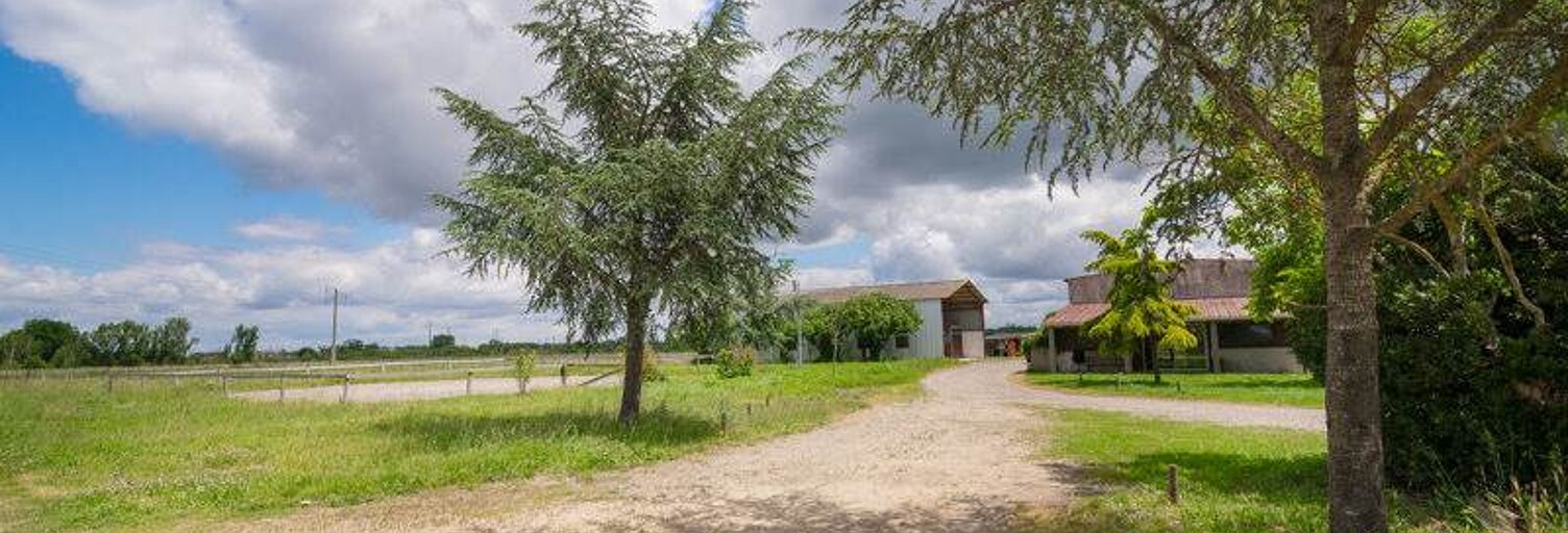 Maison 5 Pièces 151 m² à vendre à Léguevin (31490)