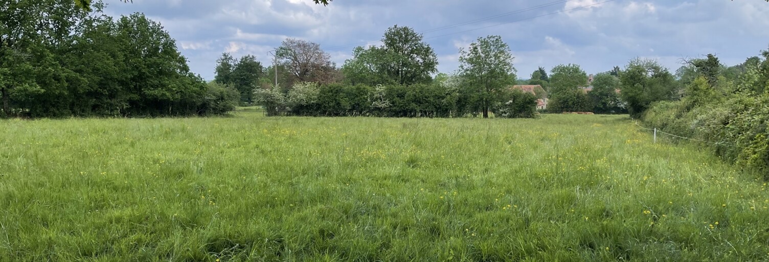 Terrain  3810 m² à vendre à Bouesse (36200)