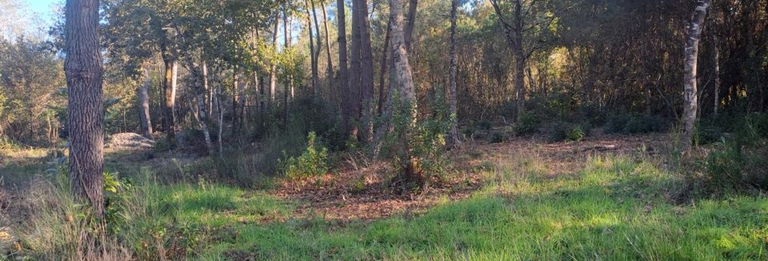 Maison  3658 m² à vendre à Saint-Sauveur (33250)