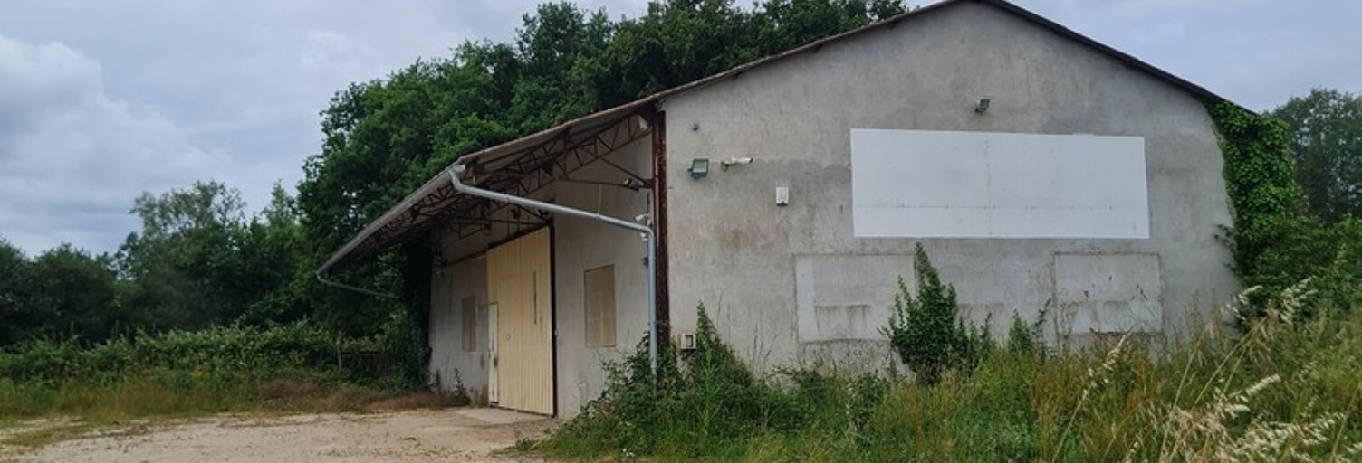 Immeuble  320 m² à vendre à Ménesplet (24700)