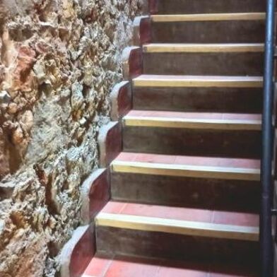 Appartement 4 pièces 800 €