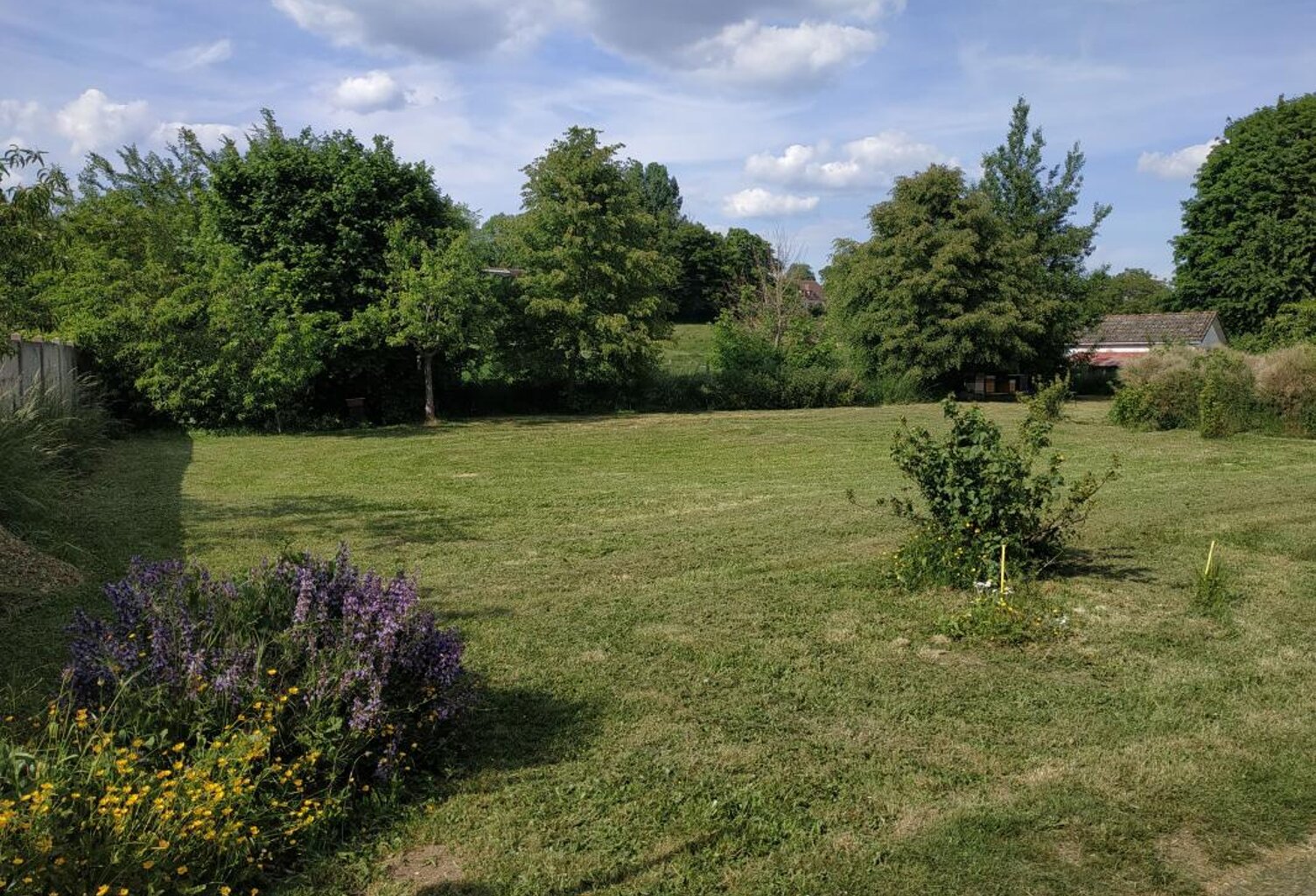 Terrain À Vendre — photo 1