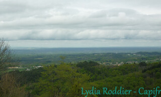 Photo N° 4