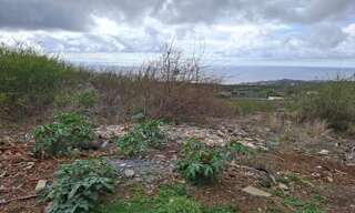 Terrain   m² à vendre à Saint-Paul (97434)