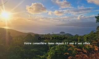 Maison 3 Pièces 132 m² à vendre à Les Anses-d'Arlet (97217)