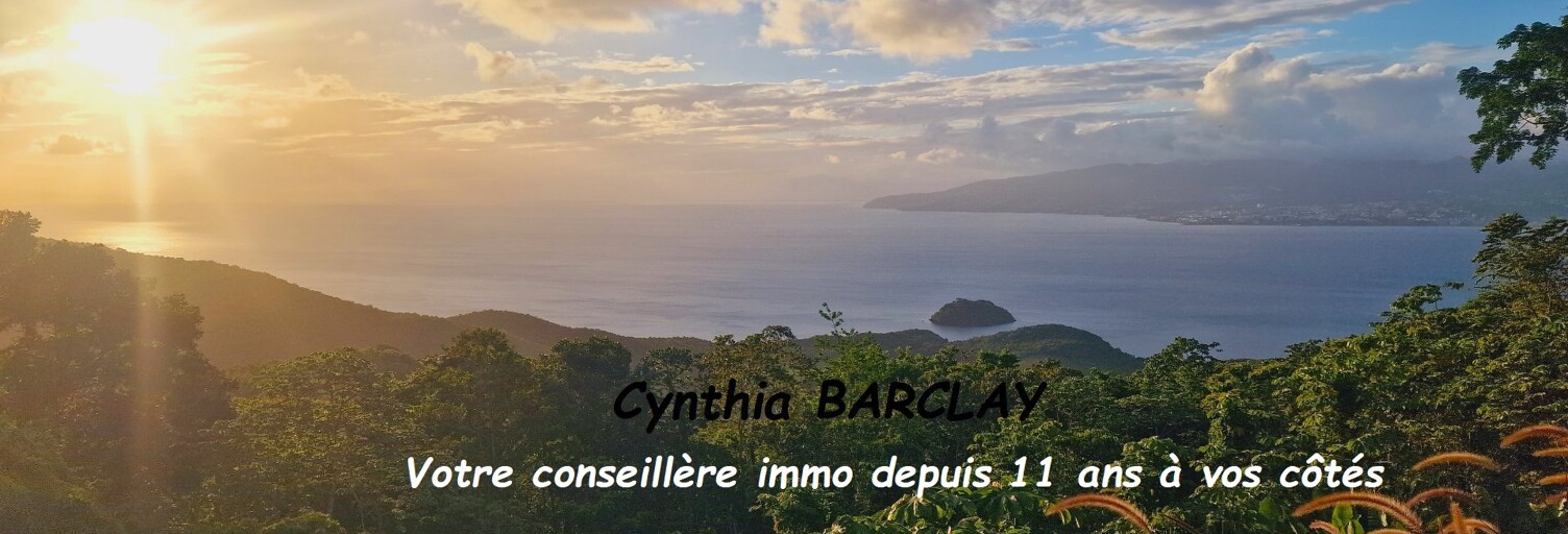 Maison 3 Pièces 132 m² à vendre à Les Anses-d'Arlet (97217)