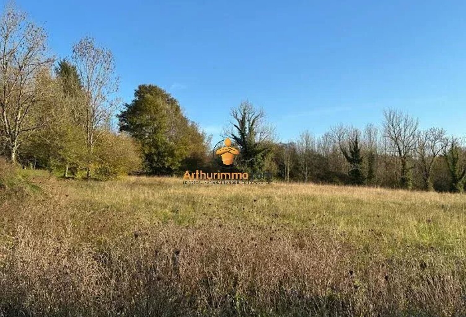 En exclusivité, Terrain de 4500m² dans un cadre verdoyant et paisible à 5 km au nord de Tarbes — photo 1