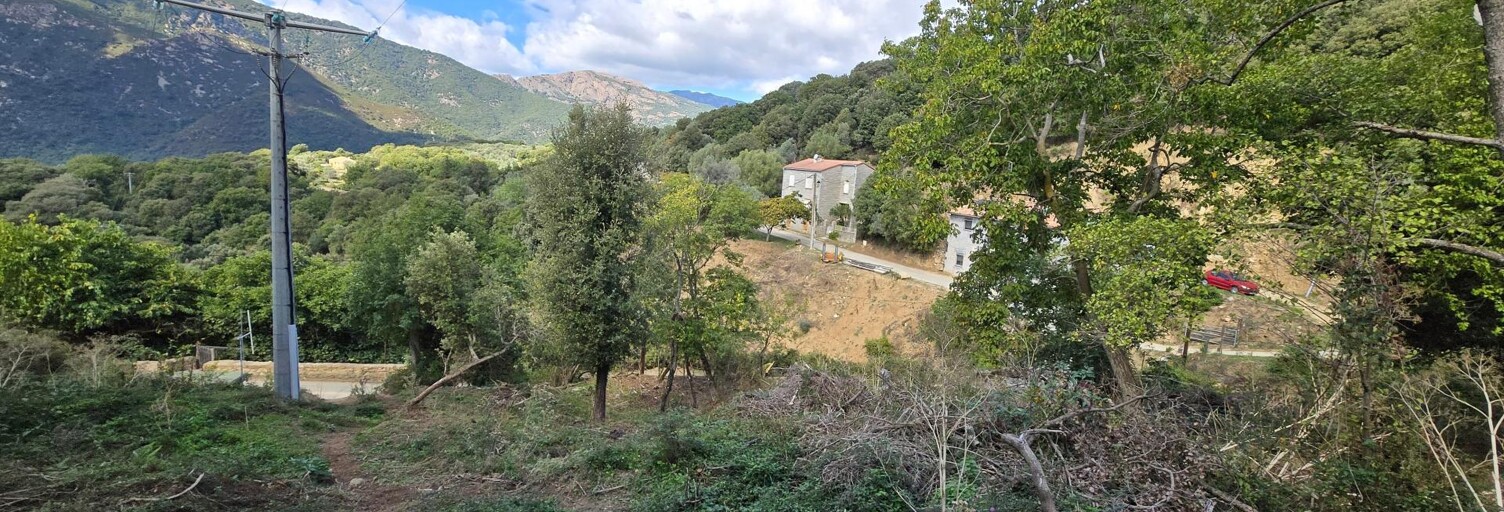 Terrain  3095 m² à vendre à Olmiccia (20112)