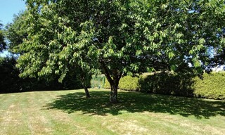 Photo N° 3