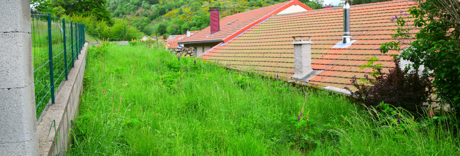 Maison 6 Pièces 132 m² à vendre à Saint-Cirgues-en-Montagne (07510)