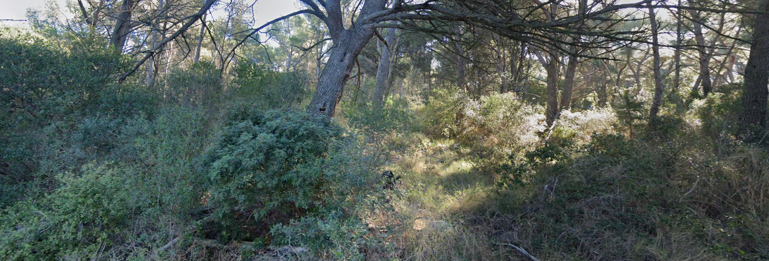 Terrain  9180 m² à vendre à Saint-Mitre-les-Remparts (13920)