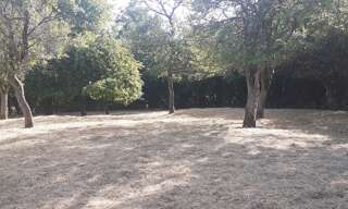 Terrain  979 m² à vendre à Théding (57450)