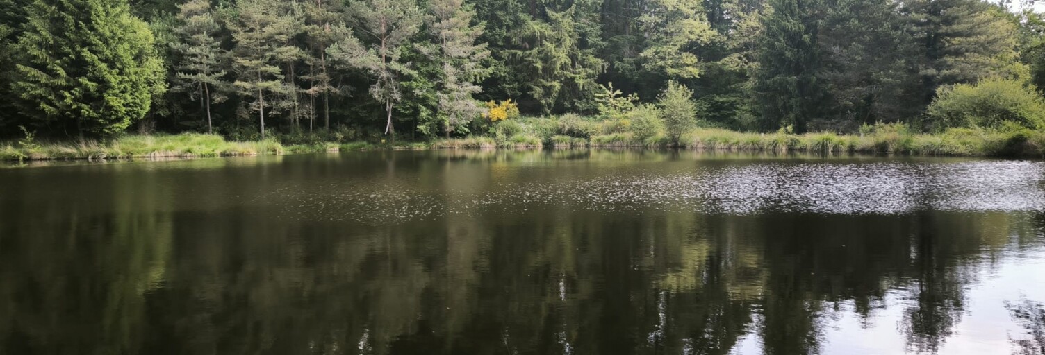 Terrain  30452 m² à vendre à Nieul (87510)