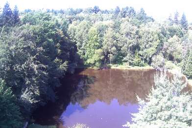 Terrain  50000 €