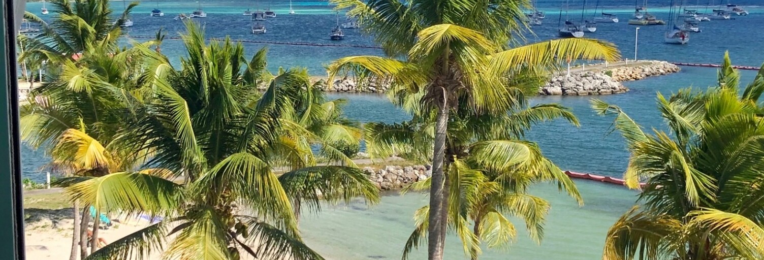 Appartement 3 Pièces 78 m² à vendre à Saint-François (97118)