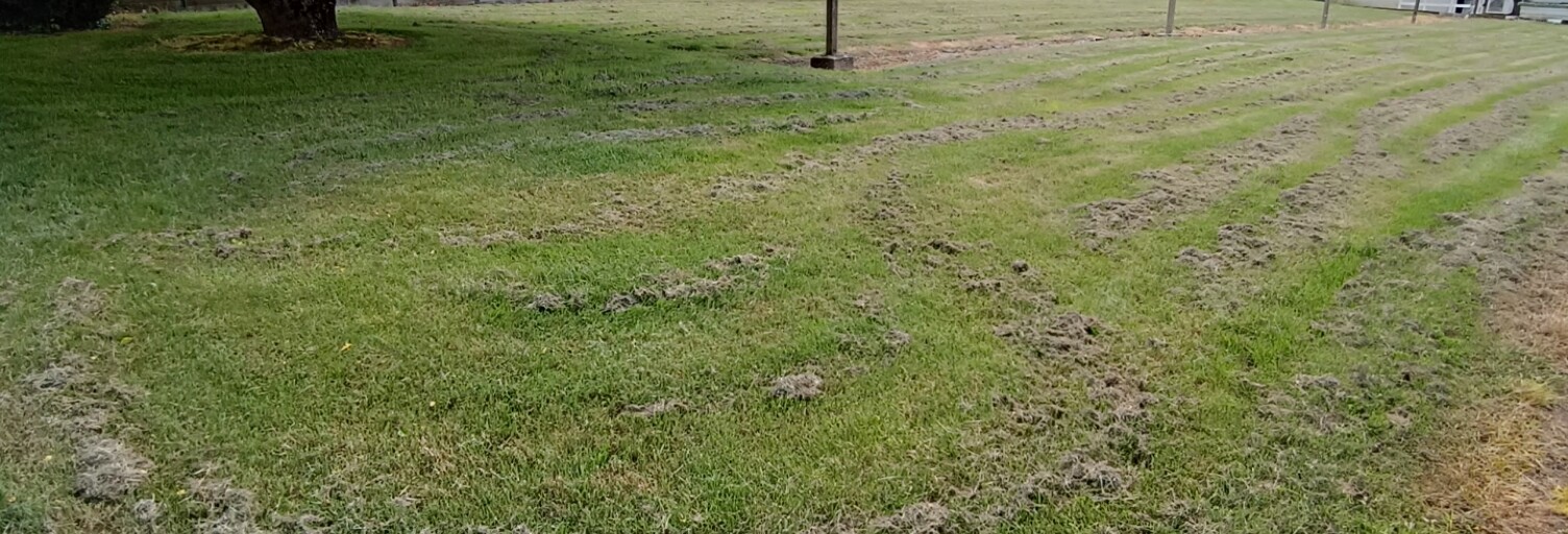 Terrain  1133 m² à vendre à Plaintel (22940)