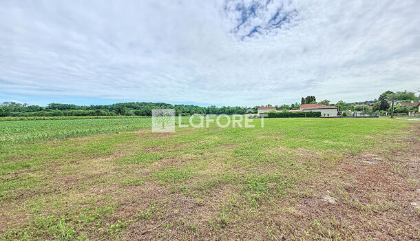 Terrain  à vendre Salies-de-Béarn 64270