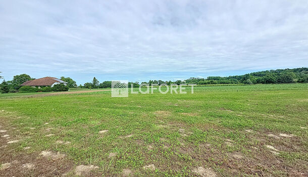 Terrain  à vendre Salies-de-Béarn 64270