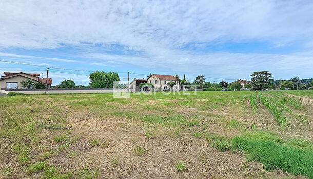 Terrain  à vendre Salies-de-Béarn 64270