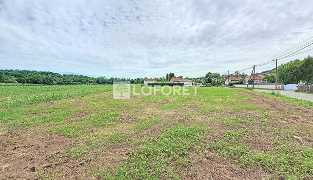 Terrain  à vendre Salies-de-Béarn 64270