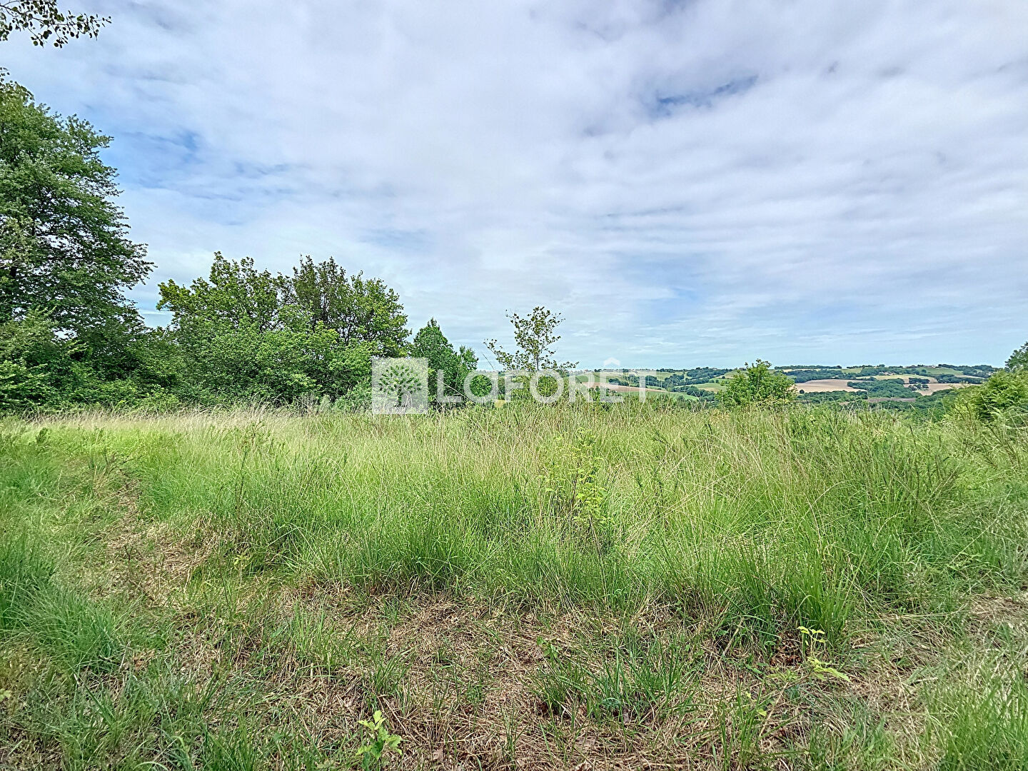 Terrain  à vendre Orthez 64300