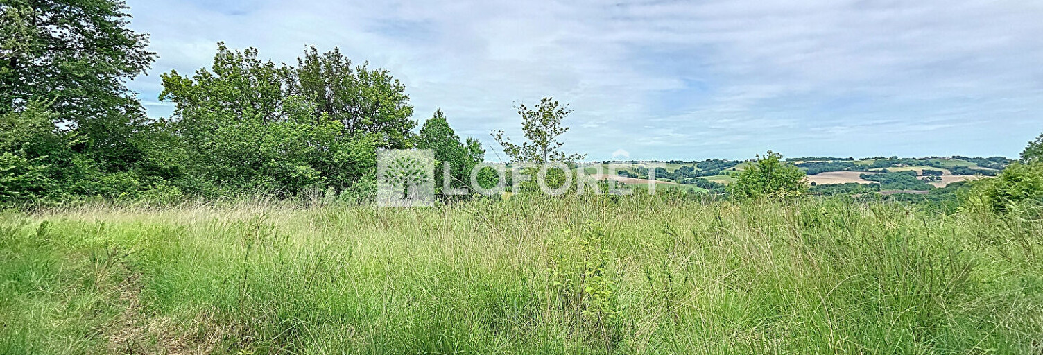 Terrain  2000 m² à vendre à Orthez (64300)