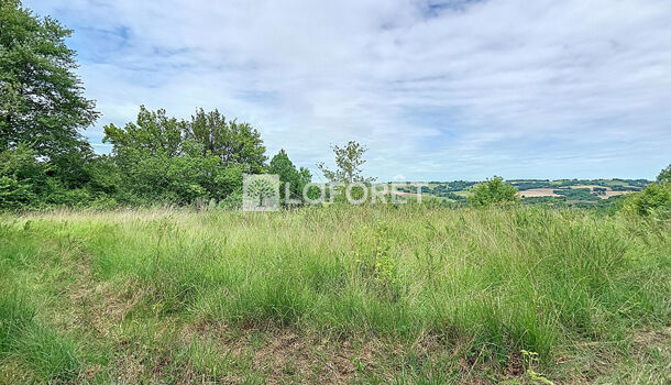 Terrain  à vendre Orthez 64300