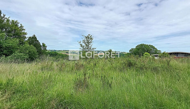 Terrain  à vendre Orthez 64300