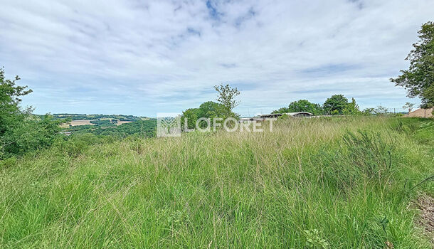 Terrain  à vendre Orthez 64300