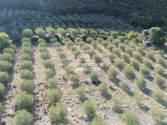 OLIVERAIE — photo du bien