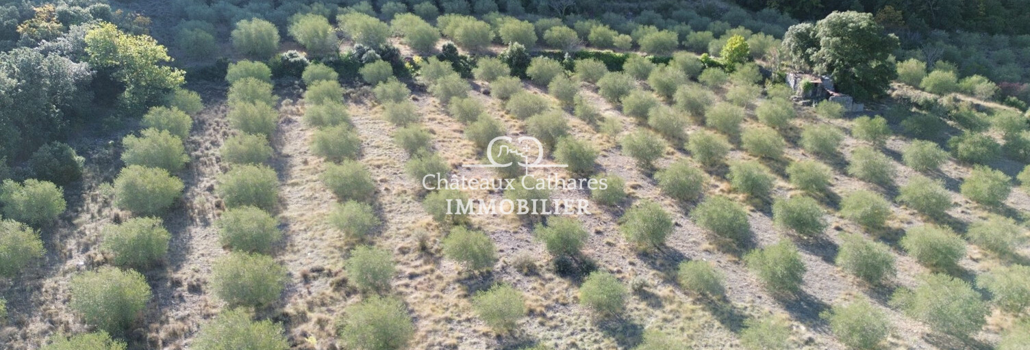 Terrain  51314 m² à vendre à Saint-Paul-de-Fenouillet (66220)