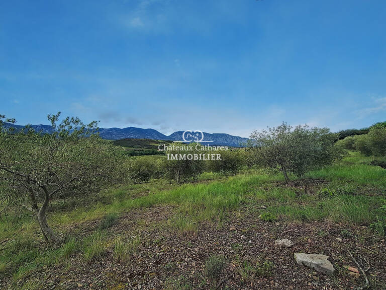OLIVERAIE — photo 1