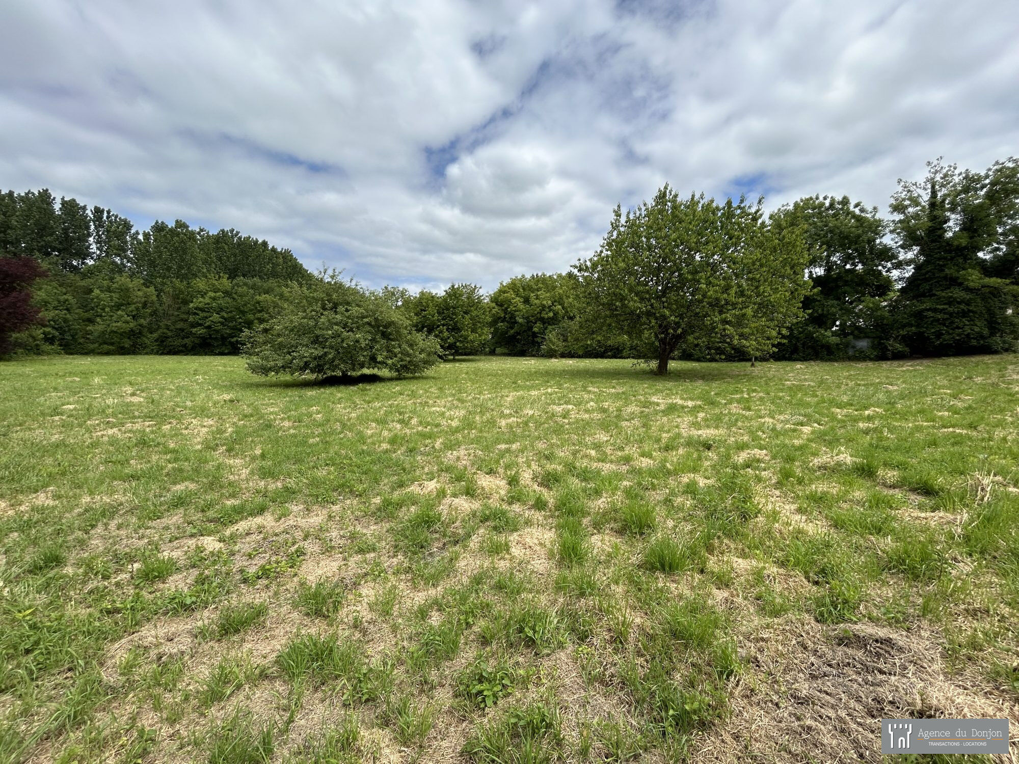 Terrain  à vendre Pons 17800