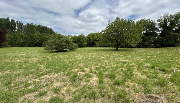 Terrain  à vendre Pons 17800