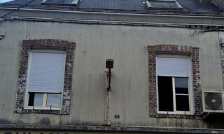 Photo N° 8