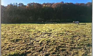 Terrain  2937 m² à vendre à Bénac (65380)