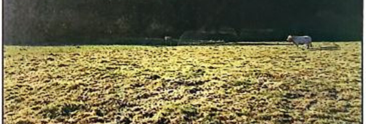 Terrain  2937 m² à vendre à Bénac (65380)