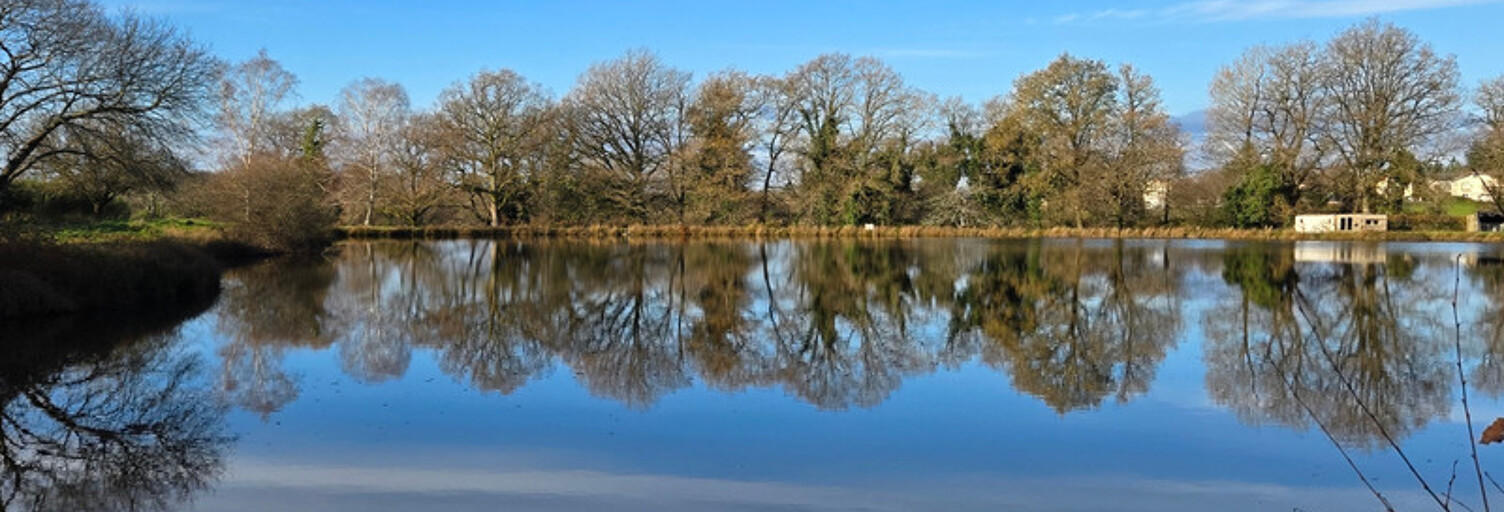 Commerce  41620 m² à vendre à Saint-Pardoux-le-Lac (87140)