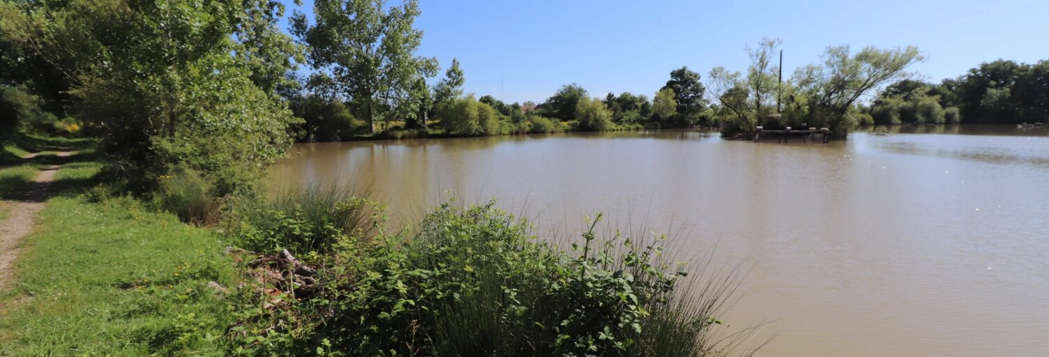 Maison 7 Pièces 109 m² à vendre à Rosnay (36300)