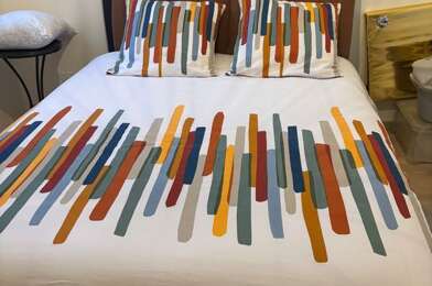 Appartement 1 pièces 600 €